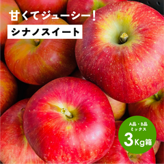発送中「シナノスイート3キロ箱A品B品」農林水産大臣賞 りんご 長野県産 安曇野 信州産
