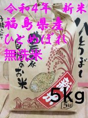 令和4年新米　福島県産　ひとめぼれ　5kg　精米したての無洗米　送料無料