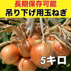 甘くてトロトロ‼️農家直送‼️吊るして長期保存可能‼️玉ねぎ5キロ