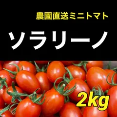 2024年最新】ソラリーノの人気アイテム - メルカリ