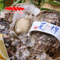 【仲屋食品】（鳥取県境港市）の鳥取天然岩がき「夏輝（なつき）」2Lサイズ×8個入り（3kg以上）ラベル付き