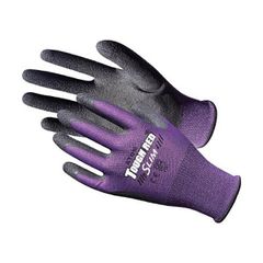 Item thumbnail for item b3326dad-56d8-4ab1-bcd8-a7d62e04cc1a