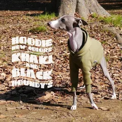 超レトロ 新品 イタリアグレーハウンド サイズが大きい 2025年最新】グレーハウンドの人気アイテム - メルカリ