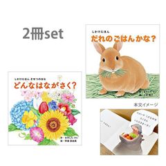 かがくのとも ビッグサイエンス 食育 はちみつ カエデのあまいみず 