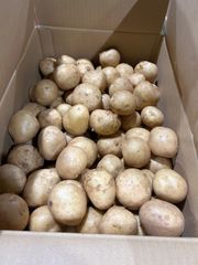 沖縄県産　じゃがいも SからM（バレイショ）10キロ