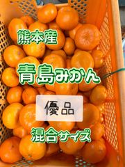 まえだのみかん - メルカリShops