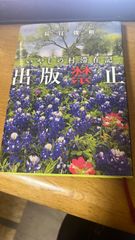 出版禁止 いやしの村滞在記
