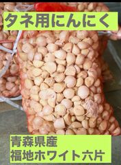 タネ おすすめ L、2Lサイズ 青森県産 福地ホワイト六片 にんにく　10kg
