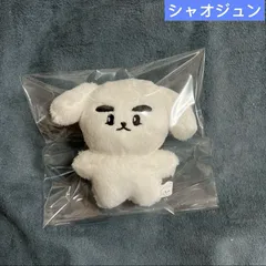 シャオジュン　ぬいぐるみ　10cm 新品　マスター　nct