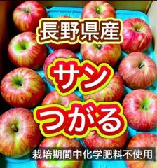 大好評❣️農園のフルーツジャム☆ネクタリン 大容量②本入り - メルカリ