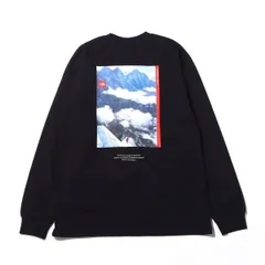THE NORTH FACE｜ザノースフェイス  L/S 30TH NUPTSE TEE  ロングスリーブ サーティースヌプシ ティー  長袖Tシャツ ロンT
