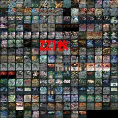 2025年最新】バトスピ xxレアの人気アイテム - メルカリ