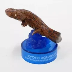 京都水族館限定フィギュア　オオサンショウウオ 京都水族館限定フィギュア オオサンショウウオ（交雑種）海洋堂