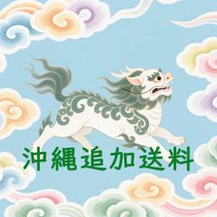 沖縄追加送料