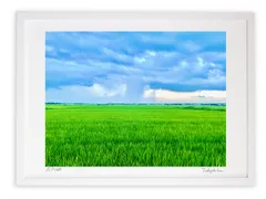 版画 絵画 自然への畏怖 アートフォト インテリア 額入り 額装込 風景画 油絵 ポスター アート アートパネル リビング 玄関 プレゼント モダン アートフレーム 飾る Mサイズ おしゃれ 壁掛け 絵