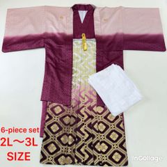 紋付袴 6点セット 着物 羽織 袴 長襦袢 羽織紐 角帯 裄77.5cm 袴丈94cm 2L〜3L ピンク 五つ紋 中古 4508