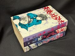 少年画報社 COMICS 石井隆 天使のはらわた全3巻 セット - メルカリ