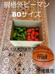 規格外ピーマン混合(大きすぎ、曲がりすぎ、軽微なキズ等)