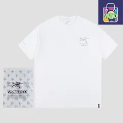 【本日限定特価】Ayc Teryx × PALACE コラボ メタリックシルバープリントTシャツ [本日特価|新品未使用品]-WT0輸入