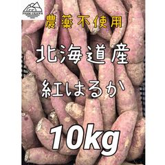 送料無料 北海道産栗山町ファームうかわ 訳ありさつまいも 10kg 農薬不使用！