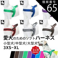 Item thumbnail for item 2b19faa5-838c-427c-a244-d69d09274305