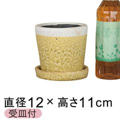 【新品】直径12cm クレイパ 植木鉢 おしゃれ かわいい 黄 貫入釉薬 受皿付 室内 屋内 多肉植物 観葉植物 小さい鉢