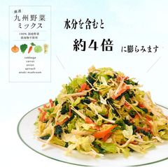 国産 乾燥野菜 2パック 200g 九州野菜ミックス添加物不使用
