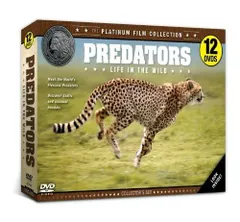THE PREDATORS 限定盤2枚セット the pillows GLAY GLAY THE PREDATORS シングルCD 下敷き - メルカリ