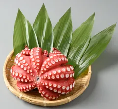 たこ壺　陶器　フジツボ付き　植木鉢　 貝殻　オブジェ　ガーデニング Yahoo!オークション -「フジツボ」(アンティーク、コレクション