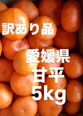 訳あり品　愛媛県　家庭用　甘平　柑橘　 5kg