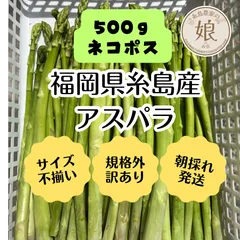 ★ネコポス　福岡県糸島産アスパラガス規格外・訳あり品500gのサムネイル