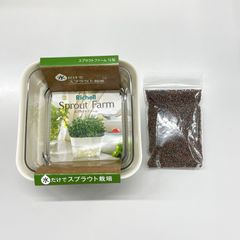 ブロッコリースプラウト　種子付（約３０日分）栽培キット ( オリジナル説明書付）