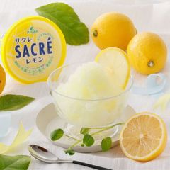サクレ かき氷 レモン 12個 （冷凍便）