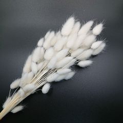大地農園 ハニーテール 白 新品1束