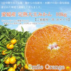 みかん Smile Orange 愛媛産 訳あり 完熟大玉みかん 10kg ご家庭用 2L 3L みかん 愛媛みかん 早生みかん 果物 国産 柑橘 柑橘類 フルーツ