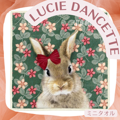 Lucie Dancette / リュシー・ダンセット ミニタオル リボンうさぎ