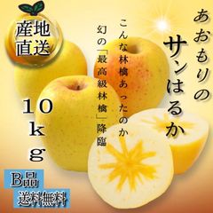 青森県産 はるか りんご【B品10kg】【送料無料】【農家直送】リンゴ ふじ