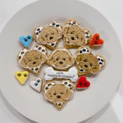 わんこアイシングクッキー　トイプードルクッキー　似顔絵クッキー