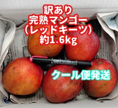 レッドキーツマンゴー　3キロ　専用 レッドキーツマンゴー」通販 甘さと酸味の絶妙なバランス