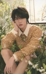 【中古】コレクションカード(男性) 13：TOMORROW X TOGETHER/ボムギュ/「TOMORROW X TOGETHER WORLD TOUR ＜ACT：SWEET MIRAGE＞ IN JAPAN」追加公演開催記念 POP-UP STORE フォ