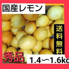 国産レモン 秀品 1.4〜1.6キロ(箱込み) 大小混合 送料無料 和歌山県産 マルマ農園