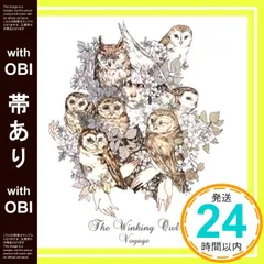 The Winking Owl Supernova　未開封CD+直筆サイン色紙 2025年最新】#TheWinkingOwlの人気アイテム - メルカリ