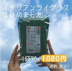 人気NO1】【乾燥】特撰無農薬オーツヘイ70g ラビッツ - メルカリ
