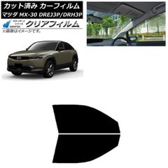 車載リアモニター ポータブルモニター 14インチ ドンキホーテ 情熱価格
