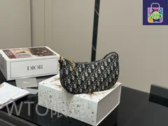 【今日特価】Dior ディオール ミス クレセントバッグ シリーズ 高級感溢れる気品が特徴