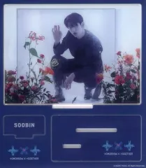 【中古】アクリルスタンド・アクリルパネル スビン(TOMORROW X TOGETHER) アクリルスタンド 「Chaotic Wonderland」