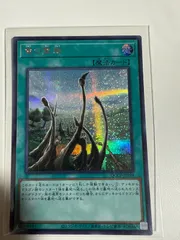 遊戯王☆単品販売可 竜の霊廟 ラー その他☆美品 遊戯王☆単品販売可 竜の霊廟 ラー その他☆美品 楽天市場