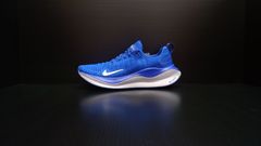 NIKE REACTX INFINITY RUN 4 DR2665 401（リアクト X インフィニティ ラン 4）