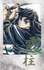 【中古】キャラカード 時透無一郎 箔押しチェキ風ブロマイド 「鬼滅の刃 刀鍛冶の里編・柱稽古編 霞柱 時透無一郎 幕間画集表紙イラストWEBSHOPくじ」 D賞 C105グッズ