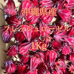 沖縄県産　フレッシュローゼル　1kg